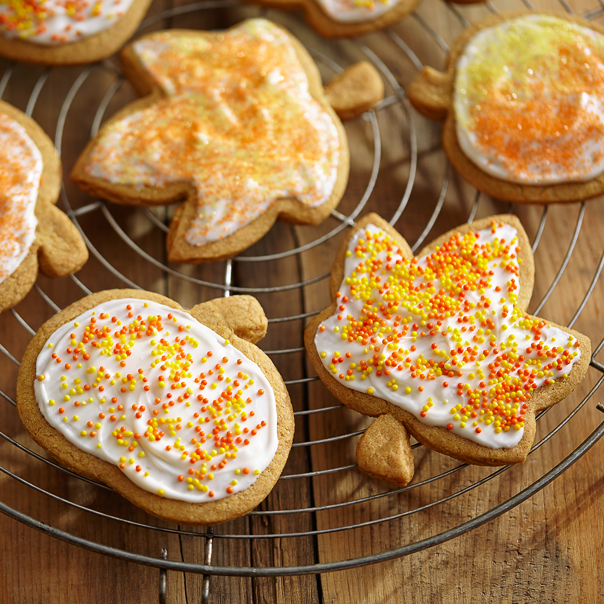 Pumpkin Spice Cutout Cookies